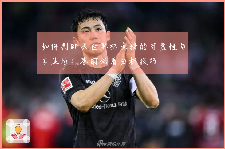 如何判断买世界杯竞猜的可靠性与专业性？赛前必看分析技巧