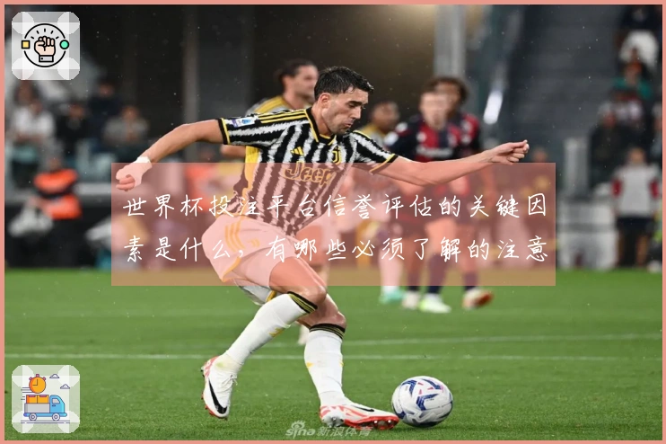 世界杯投注平台信誉评估的关键因素是什么，有哪些必须了解的注意事项？