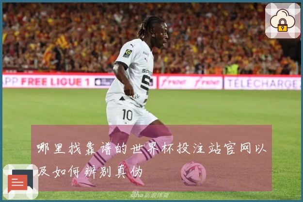 哪里找靠谱的世界杯投注站官网以及如何辨别真伪