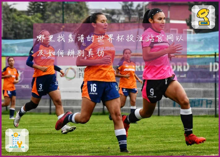 哪里找靠谱的世界杯投注站官网以及如何辨别真伪