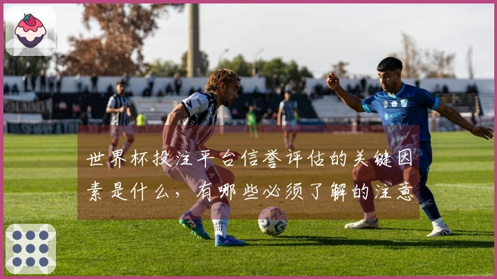 世界杯投注平台信誉评估的关键因素是什么，有哪些必须了解的注意事项？